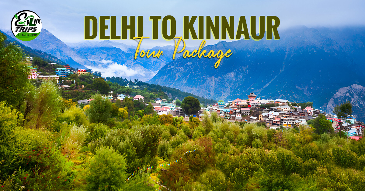 Delhi to Kinnaur tour package